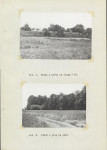 Ewidencja parkowa, skan nr 30