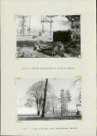 Ewidencja parkowa, skan nr 10