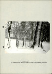 Ewidencja parkowa, skan nr 24