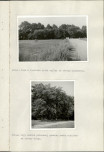 Ewidencja parkowa, skan nr 26