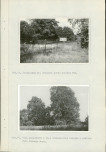 Ewidencja parkowa, skan nr 32