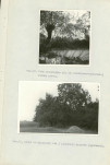 Ewidencja parkowa, skan nr 34