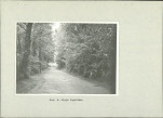 Ewidencja parkowa, skan nr 41
