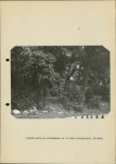Ewidencja parkowa, skan nr 21