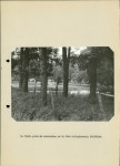 Ewidencja parkowa, skan nr 24