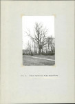 Ewidencja parkowa, skan nr 15