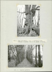 Ewidencja parkowa, skan nr 16