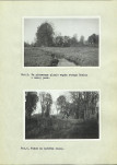 EP - Ewidencja parkowa, skan nr 29
