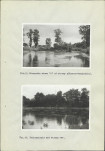 Ewidencja parkowa, skan nr 36