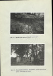 Ewidencja parkowa, skan nr 38