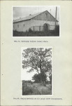 Ewidencja parkowa, skan nr 40