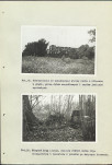 Ewidencja parkowa, skan nr 41