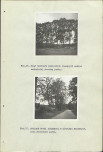 Ewidencja parkowa, skan nr 44