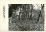 Ewidencja parkowa, skan nr 34