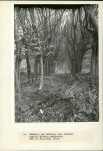 Ewidencja parkowa, skan nr 40