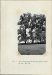 Ewidencja parkowa, skan nr 31