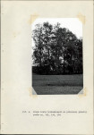Ewidencja parkowa, skan nr 32