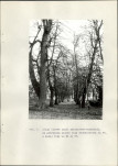 Ewidencja parkowa, skan nr 42