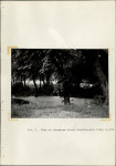 Ewidencja parkowa, skan nr 37