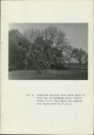 Ewidencja parkowa, skan nr 35