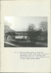 Ewidencja parkowa, skan nr 36