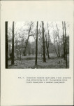 Ewidencja parkowa, skan nr 38