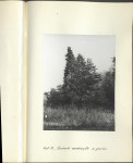 EP - Ewidencja parkowa, skan nr 46