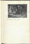 Ewidencja parkowa, skan nr 15