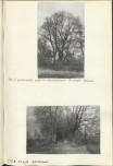 Ewidencja parkowa, skan nr 25