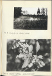 Ewidencja parkowa, skan nr 26