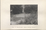 EP - Ewidencja parkowa, skan nr 36