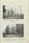 Ewidencja parkowa, skan nr 24