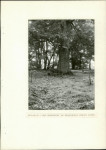 Ewidencja parkowa, skan nr 22