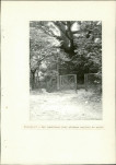 Ewidencja parkowa, skan nr 25