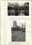 Ewidencja parkowa, skan nr 19
