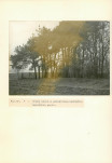 Ewidencja parkowa, skan nr 27