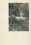 Ewidencja parkowa, skan nr 29