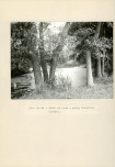 Ewidencja parkowa, skan nr 32