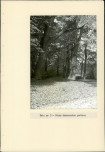 Ewidencja parkowa, skan nr 22