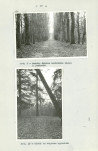 Ewidencja parkowa, skan nr 24