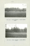 Ewidencja parkowa, skan nr 25