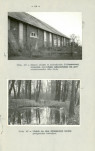 Ewidencja parkowa, skan nr 29
