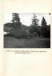 Ewidencja parkowa, skan nr 22