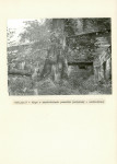 Ewidencja parkowa, skan nr 30