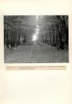 Ewidencja parkowa, skan nr 34
