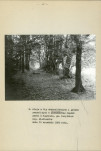Ewidencja parkowa, skan nr 21