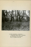Ewidencja parkowa, skan nr 24