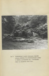 Ewidencja parkowa, skan nr 23