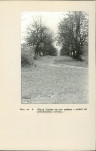 Ewidencja parkowa, skan nr 31