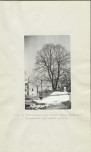 Ewidencja parkowa, skan nr 16
